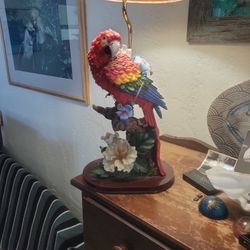 Scararlet Macaw Lamp