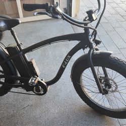 Electric Bike