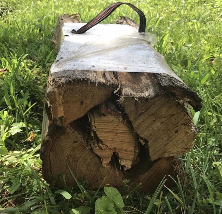 Firewood - 5 pieces - New