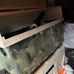 75 Gallon Salt Water Tank
