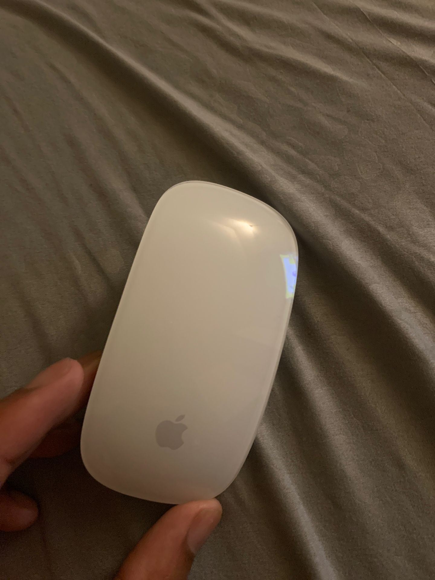 Apple Wireless Magic Mouse