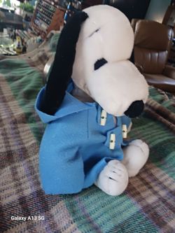Old Snoppy in rain coat