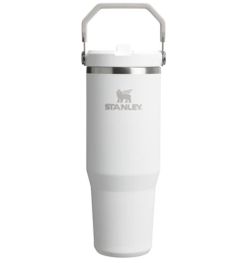 Stanley 20oz White  Travel Tumbler Thermos Flip Straw Cup 