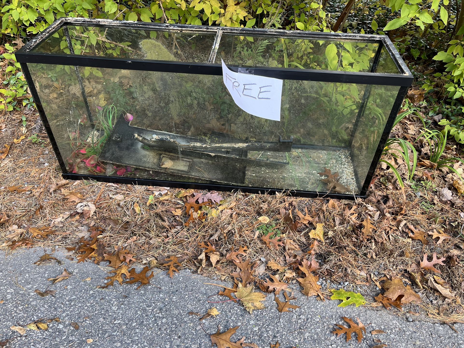 55 gallon fish tank.  free