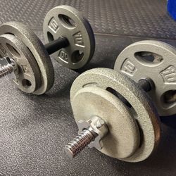 CAP Olive Standard  Dumbbells with 2 pairs  of 10s And Bars NEW plus 2 pairs of 5 used. Brute 70#