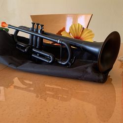 Gently Used Plastic Beginners Trumpet Zephyr
