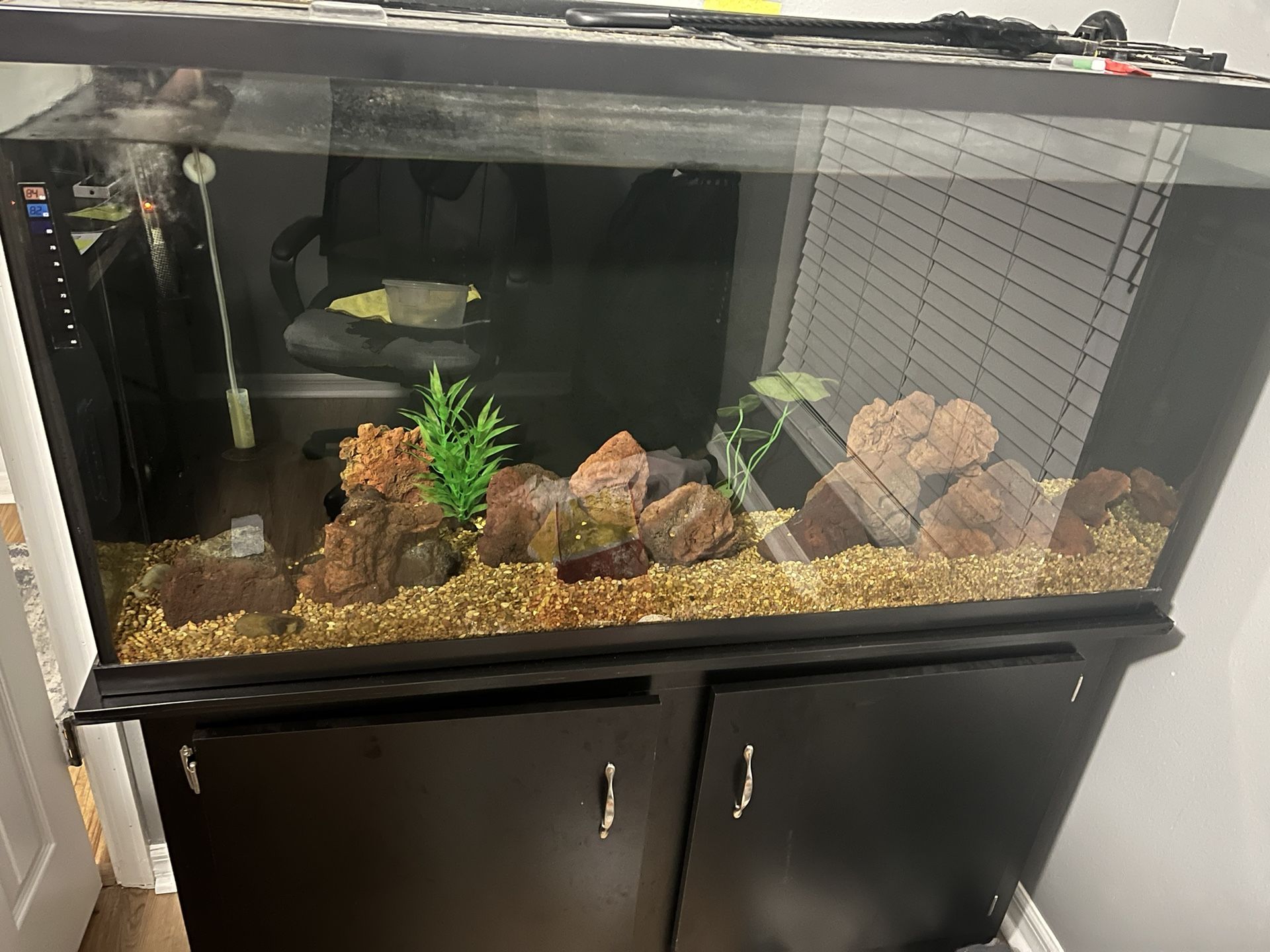 Fish Tank / Aquarium 