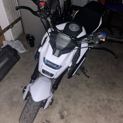 Honda Grom Clone