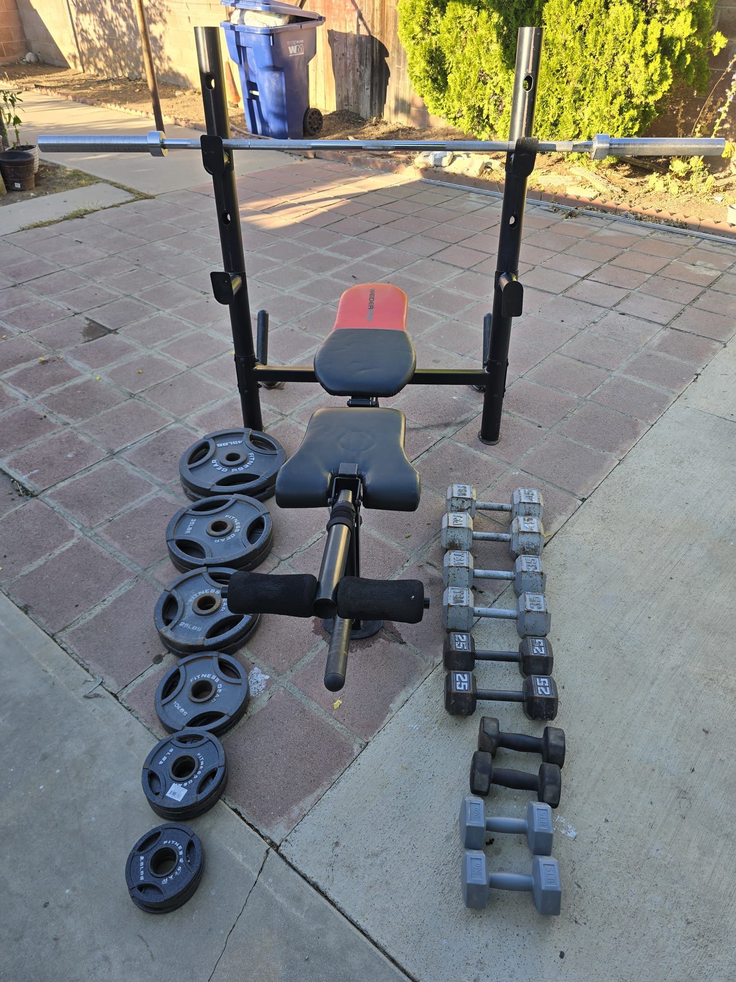 Weight Bench Set