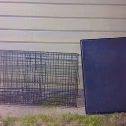 Large dog crate