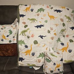 Twin Comforter and Dinosaur Bed Sheet