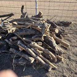Firewood