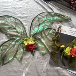 Fairy Wings and Crown