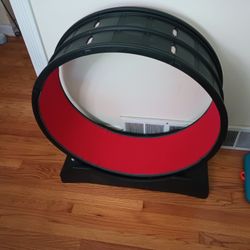 Cat Treadmill 