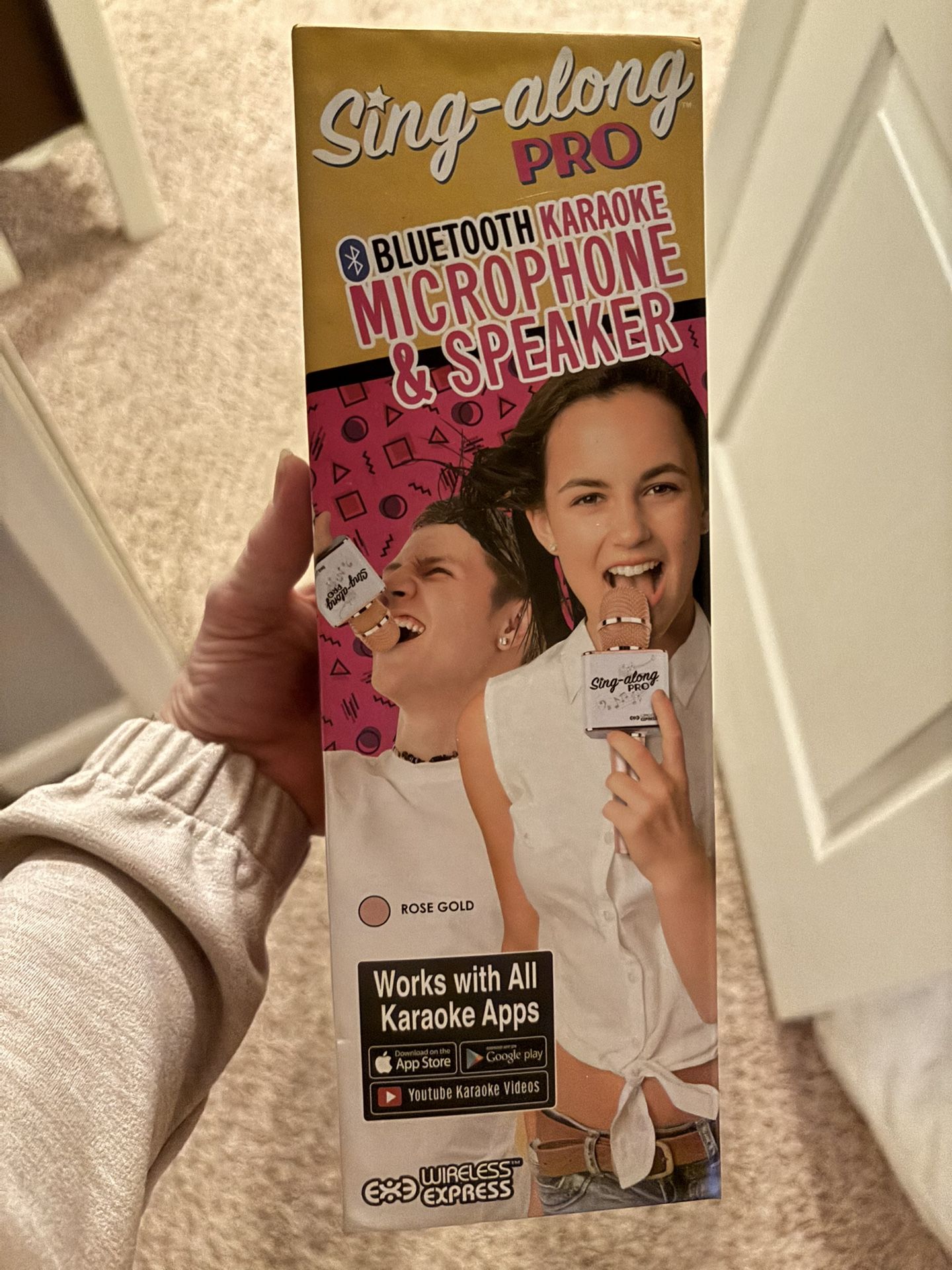 Kareoke Microphone