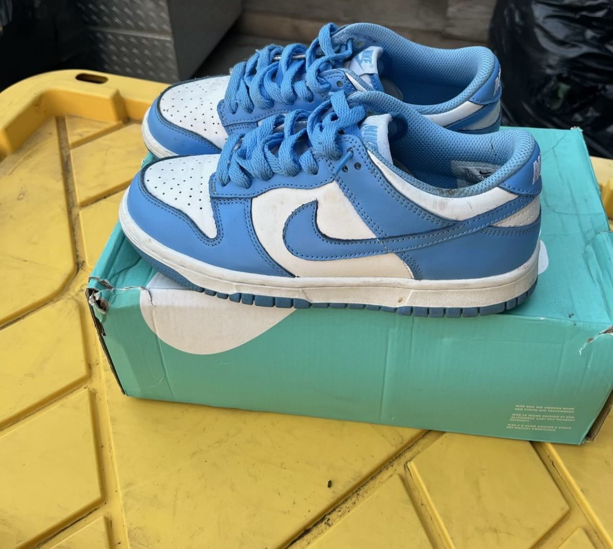 Blue Nike Dunks