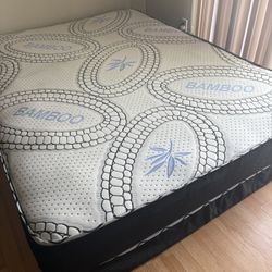 Queen Size Bd (Bamboo) 