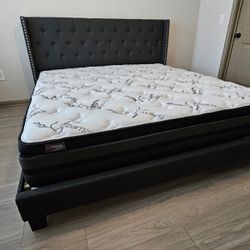 New King Size Bed