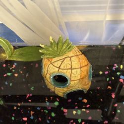 30 Gal Fish Tank