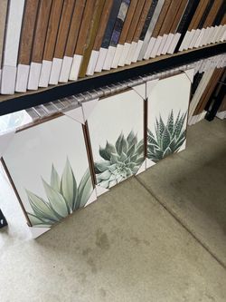 3-Panel Succulent Canvas Wall Art Set with Natural Wood Frames