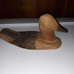 Really Cute Wood Duck