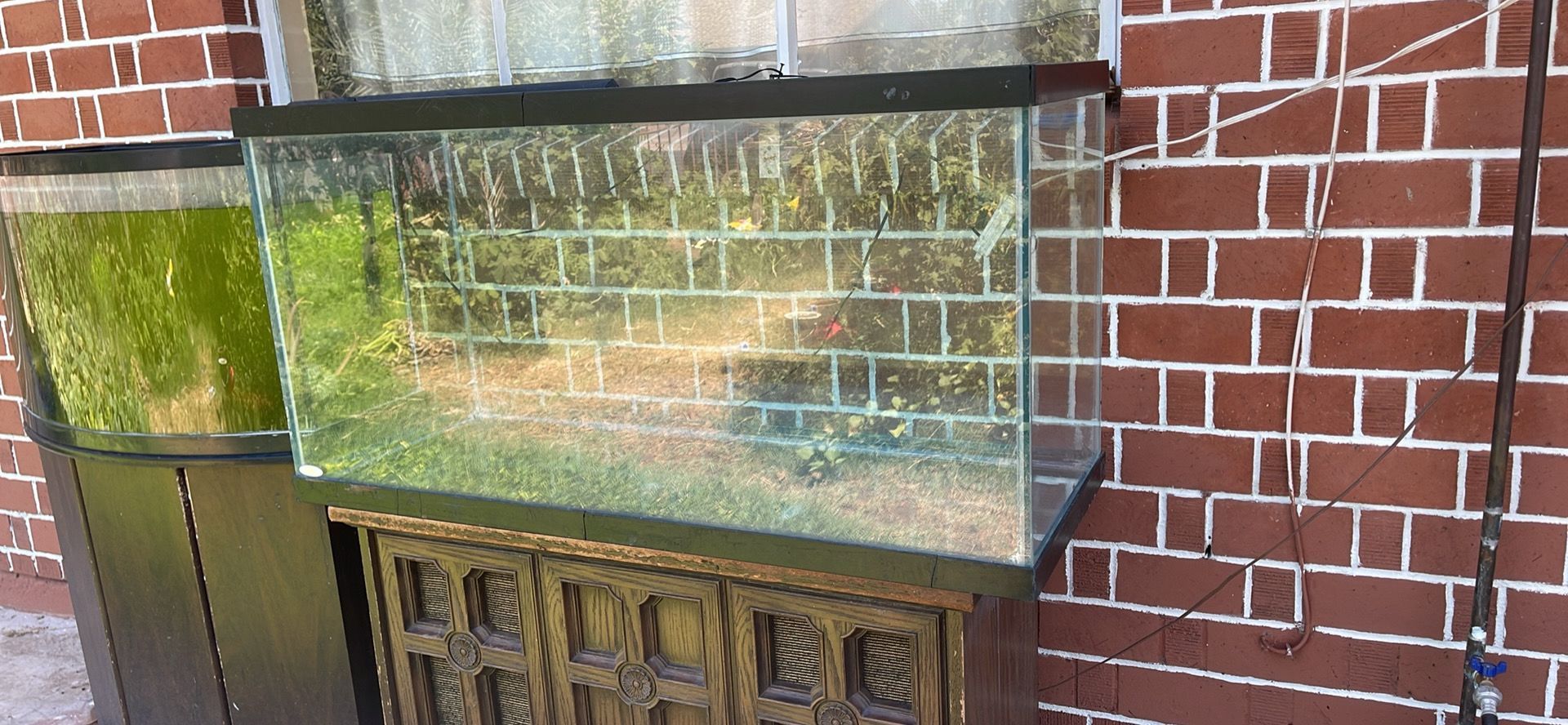 Fish Tank For Sale