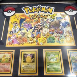 Pokemon Framed Memrobilia