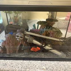 10 Gallon Fish Tank With Lots Of Ornaments