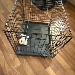 Dog Cage