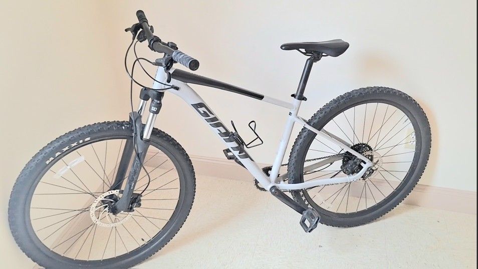 2021/22 Giant 29er