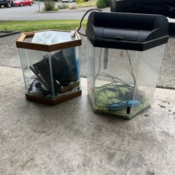 Fish Tanks 