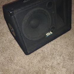 Seismic Audio Sa-10m.3