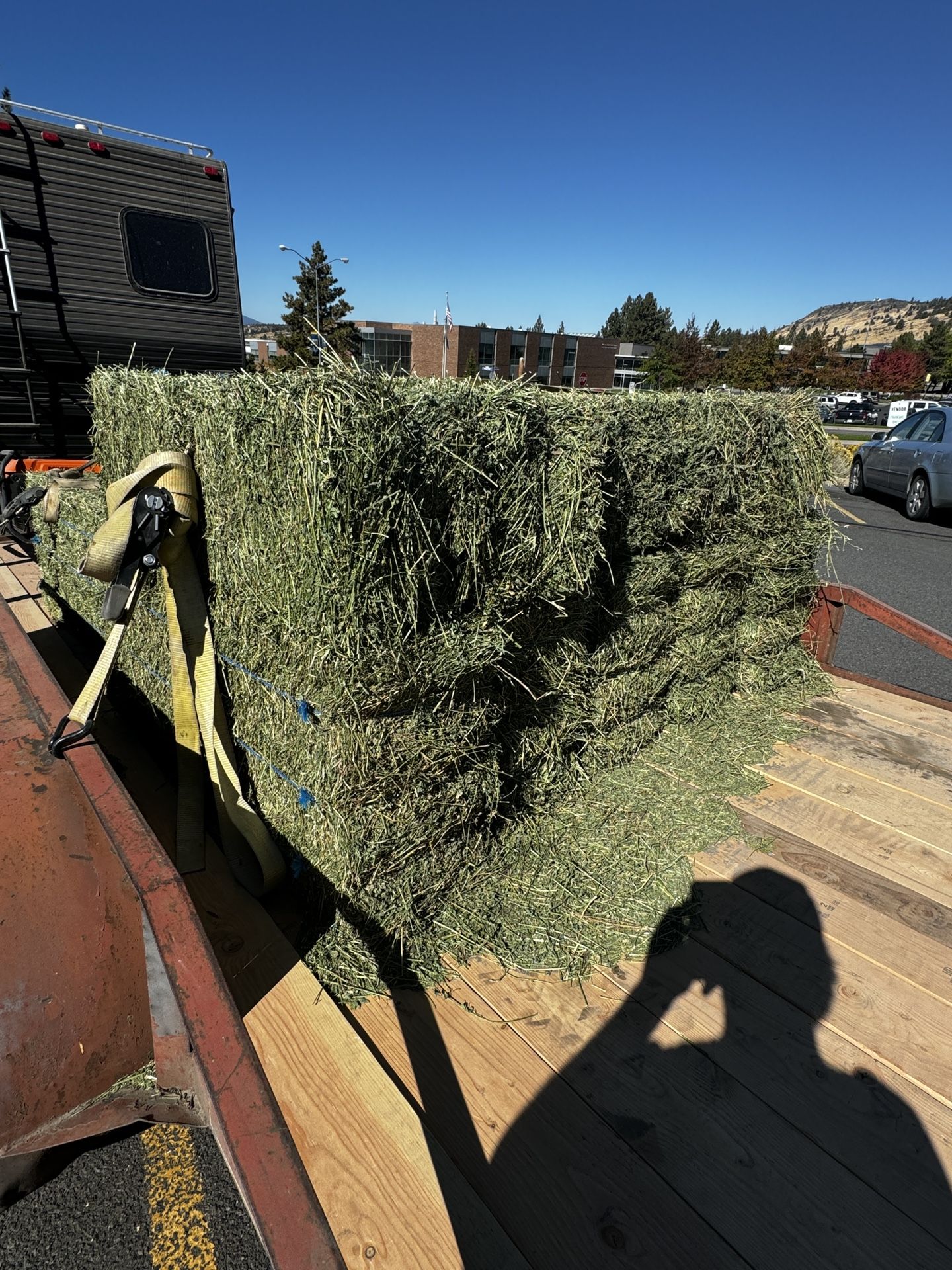 Clean Second Cutting Alfalfa