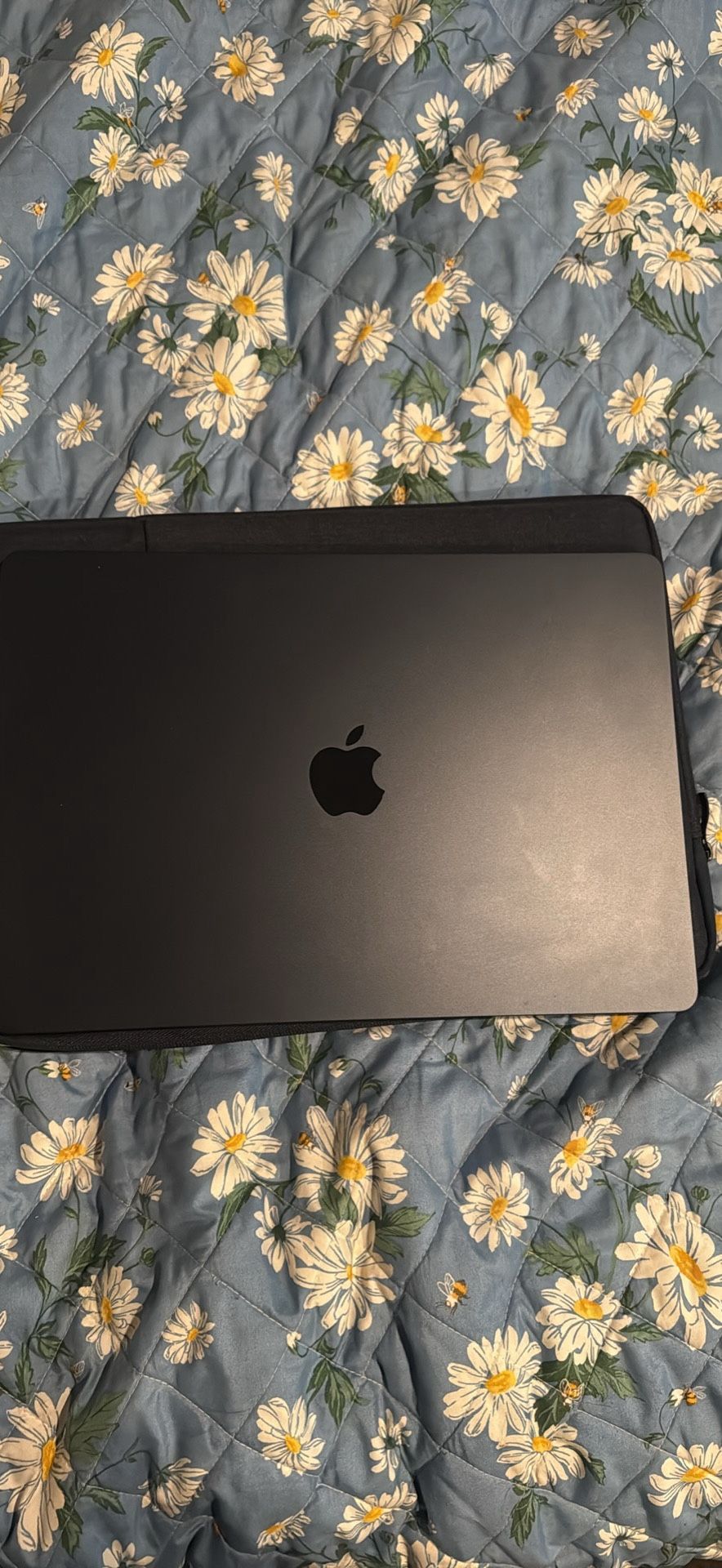 M2 MacBook Air 15 Inch