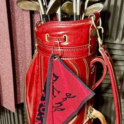 FULL Left-Handed Set Of Custom Golf Clubs With Bag, Tees, Gloves, And Golf Balls