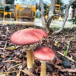 Garage Sale Tomorrow Only