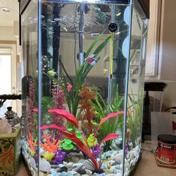 Aquarium 