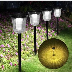 Solar Lights 6pk