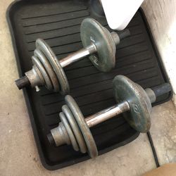 Dumbbells / Free Weights 