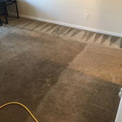 Professional Carpet Cleaner