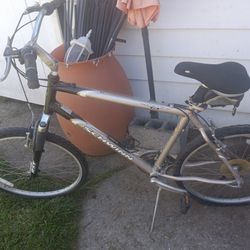 Schwinn Bike