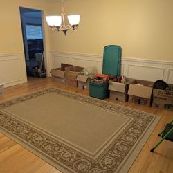 Indoor/Outdoor Area Rug