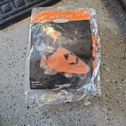 New Pet Pumpkin Costume