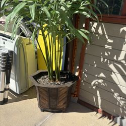 Fake Houseplant In Wood Pot