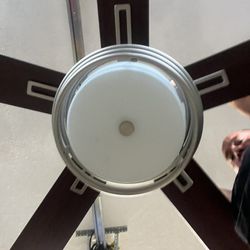 Decorative Ceiling Fan With Light 