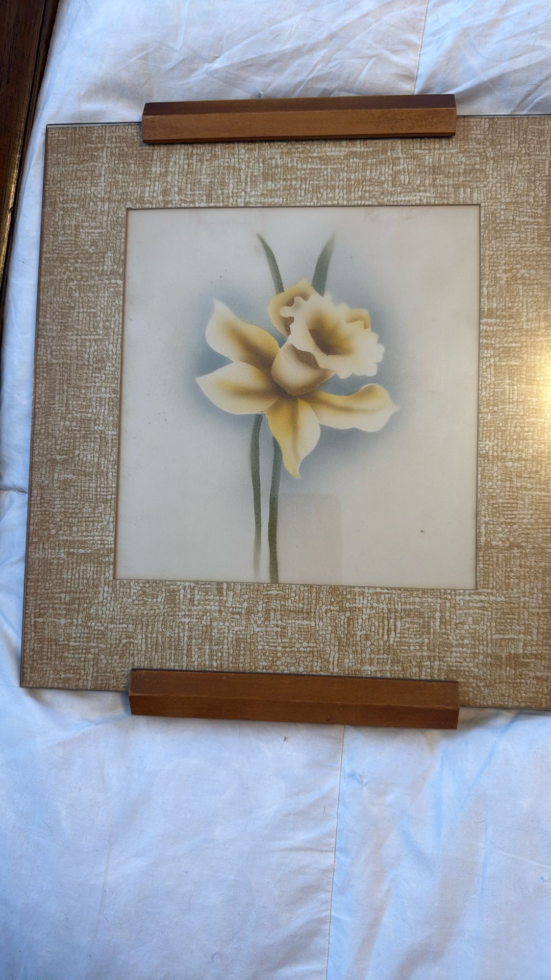 vintage Daffodil Picture