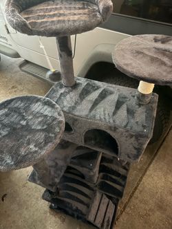 54" Cat Tree – Like New – $45 OBO