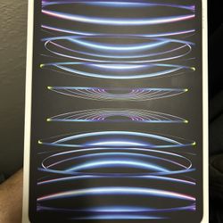 Apple iPad Pro 11" 4th Generation