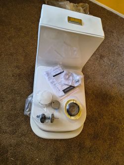 Swiss Madison one piece toilet