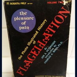 The Pleasure of Pain: Flagellation, Volume 2 vintage paperback